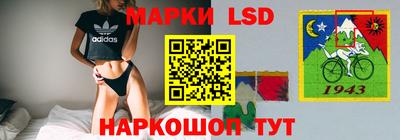 гидропоника Ставрополь