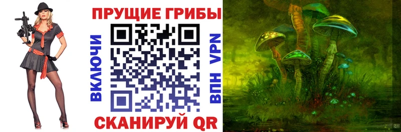 ссылка на мегу   наркошоп  Ногинск  Псилоцибиновые грибы Cubensis 