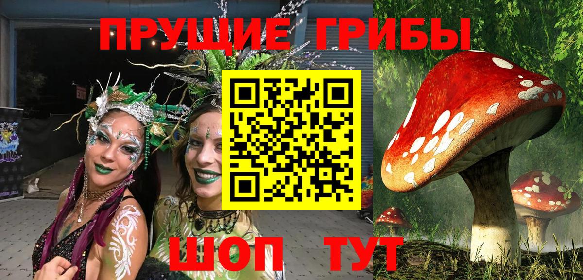 Ногинск  Псилоцибиновые грибы Magic Shrooms  Вход с VPN 